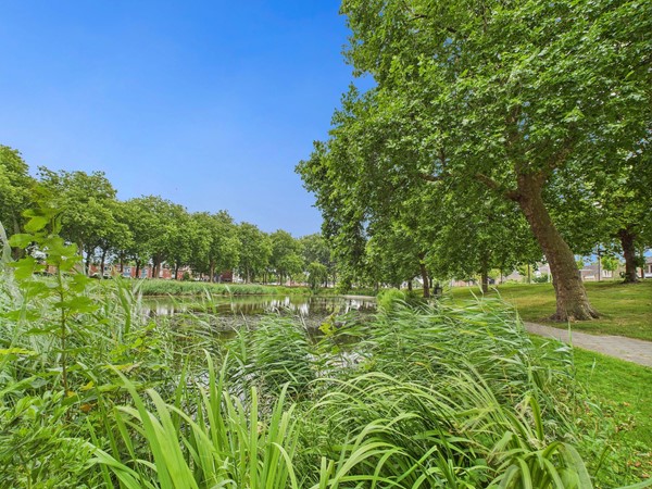 Medium property photo - Alberdingk Thijmstraat 45, 4532 CZ Terneuzen